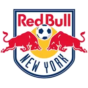 纽约红牛 队徽